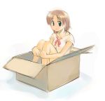  box brown_hair cardboard_box ikeda_jun_(mizutamari) in_box in_container short_hair smile 