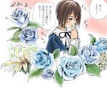  00s 1girl blue_eyes blue_rose brown_hair collar flower frilled_collar frills green_hair long_sleeves looking_afar own_hands_together pink_background plant red_eyes rose rozen_maiden simple_background solo souseiseki toshi_hiroshi translation_request upper_body 