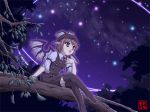  1girl aka_ringo animal_ears azuma_shoujuan brown_eyes dress female hand_on_own_chest hat mystia_lorelei night night_sky pink_hair scenery short_hair sitting sky solo star_(sky) starry_sky thigh-highs touhou wings 