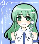  1girl bad_id female frog green_hair japanese_clothes kochiya_sanae long_hair lowres miko naruto_(oyuimo) snake solo touhou 