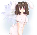  :3 animal_ears bad_id black_hair bunny_tail female flower inaba_tewi mito_(mitochondria) rabbit_ears red_eyes short_hair tail touhou 