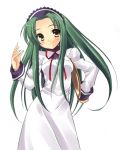  green_hair long_hair suzumiya_haruhi_no_yuuutsu tsuruya waitress yellow_eyes 