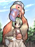  dress flower grand_peco_peco green_hair hair_ornament merchant merchant_(ragnarok_online) peco_peco pot ragnarok_online short_hair suka 