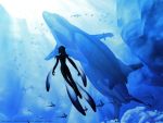  blue_submarine_no_6 fish_girl highres monster_girl mutio ocean pointy_ears silhouette size_difference swimming underwater wallpaper 