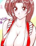  1girl blush breasts brown_eyes brown_hair cleavage fatal_fury huge_breasts king_of_fighters long_hair oekaki rope shiranui_mai snk solo the_king_of_fighters 