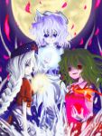  3girls blue_eyes braid female green_hair hat kazami_yuuka letty_whiterock moon multiple_girls nurse_cap outdoors red_eyes silver_hair sky touhou yagokoro_eirin youkai 