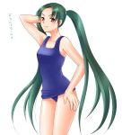  fang green_hair long_hair one-piece_swimsuit school_swimsuit suzumiya_haruhi_no_yuuutsu swimsuit tsuruya twintails very_long_hair yumeno_naka 