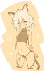  1girl animal_ears assassin_of_black bare_shoulders black_legwear black_panties breasts cat_ears fate/apocrypha fate_(series) highres kurokuro navel nipples panties scar scar_across_eye short_hair small_breasts solo tail thigh-highs underwear white_hair yellow_eyes 