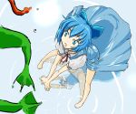  1girl blue_hair cif cirno dress female frog panties reflection ribbon solo the_embodiment_of_scarlet_devil touhou underwear 