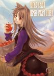  1girl animal_ears apple food fruit holding holding_fruit holo red_eyes solo spice_and_wolf tail wolf_ears 