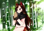  1girl animal_ears bamboo bamboo_forest blouse breath brown_hair cold forest imaizumi_kagerou kaisenpurin long_hair long_sleeves mittens nature outdoors red_eyes red_skirt scarf skirt snow tail touhou white_blouse winter wolf_ears wolf_tail 
