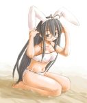  1girl ahoge animal_ears antenna_hair barefoot beach bikini breasts cleavage erect_nipples glasses grey_eyes grey_hair kasuga_yukihito kneeling long_hair mahou_sensei_negima! rabbit_ears saotome_haruna smile solo swimsuit very_long_hair white_swimsuit 