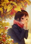  1girl autumn autumn_leaves bag bangs blurry blush breath brown_eyes brown_hair cold depth_of_field food from_side fruit grey_sweater hands_over_mouth highres leaf long_sleeves original own_hands_together pocket red_scarf scarf school_bag school_uniform shoulder_bag solo sweater upper_body warabimochi_kinako 