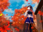  1girl autumn_leaves black_legwear brown_eyes brown_hair clouds cloudy_sky day fence hakama japanese_clothes kaga_(kantai_collection) kantai_collection konkito leaf looking_up maple_leaf maple_tree miniskirt muneate outdoors side_ponytail skirt sky solo thigh-highs tree wooden_fence 