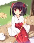  1girl bekotarou black_hair bow cat collarbone eyebrows eyebrows_visible_through_hair from_above hair_bow hair_ribbon hakama japanese_clothes looking_up miko original red_bow red_eyes red_hakama red_ribbon ribbon short_hair sitting solo two_side_up wooden_floor 