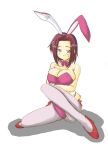  animal_ears bunnysuit code_geass kallen_stadtfeld pantyhose rabbit_ears zero_point 