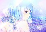  1girl bangs bare_shoulders blue_eyes blue_hair blue_rose cirno closed_mouth eyebrows eyebrows_visible_through_hair eyelashes flower knees_up mimyoi petals profile rose short_hair sitting solo touhou upper_body 