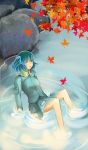  autumn_leaves female kawashiro_nitori leaf ruit touhou water 