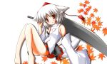  barefoot blush detached_sleeves golgi_body hat inubashiri_momiji red_eyes sword tail tokin_hat touhou weapon wolf_ears wolf_tail 