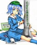  blue_hair colored cucumber face hat kawashiro_nitori key mixed_media rocket screwdriver touhou tsukineko_(chatnoir65) twintails 