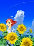  angel blue_eyes flower hair_ornament hairclip halo jewelry necklace original ponytail red_hair redhead sango_(artist) short_hair sky solo sunflower wings 