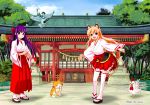  animal_ears bird blonde_hair cat chicken forest fox_ears fox_tail frilled_skirt frills hakama hakama_skirt haori japanese_clothes licking_paw long_hair miko naka_noboru nature original purple_hair red_eyes ribbon-trimmed_sleeves ribbon_trim rope shimenawa shinto shrine skirt smile tail thigh-highs tree wide_sleeves zettai_ryouiki 