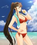  1girl beach bikini blue_eyes bottle breasts brown_hair cleavage female genderswap genderswap_(mtf) izumi-no-kami_kanesada long_hair looking_at_viewer navel one_eye_closed ponytail rainsp sky solo standing sweat swimsuit touken_ranbu towel towel_around_neck very_long_hair water_bottle 