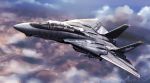  aircraft airplane artist_name clouds f-14_tomcat fighter_jet flying jet military military_vehicle original tagme zephyr164 
