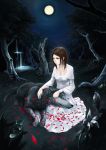  akitu_kouta blue_eyes brown_hair dress flower graveyard moon nature night petals wolf 