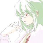  1girl ascot bespectacled female glasses green_hair grin hand_on_own_face kazami_yuuka plaid plaid_vest red_eyes short_hair sideways_mouth smile solo suisai touhou upper_body youkai 