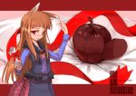  1girl animal_ears apple bad_id brown_hair chocolate food fruit gift holding holding_gift holo long_hair red_eyes solo spice_and_wolf totoya_yuu wallpaper wolf_ears 