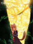  animal_ears brown_hair forest holo long_hair m-hit nature red_eyes spice_and_wolf tail wolf_ears 