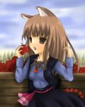  1girl apple bad_id food fruit holding holding_fruit holo lowres solo spice_and_wolf toda_ayu 