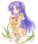  1girl blue_(ao_maru) blue_(artist) blue_eyes blue_hair clannad cowboy_shot flower hair_bobbles hair_ornament ichinose_kotomi long_hair no_pants panties simple_background solo striped striped_panties two_side_up underwear white_background 