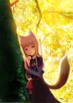  1girl animal_ears brown_hair female forest highres holo long_hair m-hit nature red_eyes solo spice_and_wolf tail tree wolf_ears 