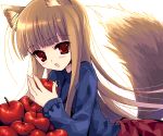  1girl animal_ears apple chimaro food fruit holding holding_fruit holo oekaki solo spice_and_wolf tail wolf_ears 