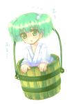  bucket girl_in_bucket green_eyes green_hair in_bucket in_container kisume touhou 