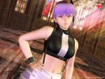  3d ayane ayane_(doa) blue_hair dead_or_alive game short_hair tecmo 