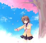  brown_eyes brown_hair cherry_blossoms clannad furukawa_nagisa petals school_uniform short_hair tree yoshi_(koloio) 