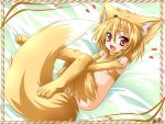  animal_ears blonde_hair fox_ears highres kazami_karasu moonlight_flower ragnarok_online red_eyes tail 