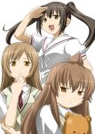  ahoge brown_eyes brown_hair fujioka-kuma minami-ke minami_chiaki minami_haruka minami_kana steed_(steed_enterprise) 