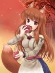  1girl animal_ears apple brown_hair eating fang food fruit holding holding_fruit holo long_hair nekohane_ryou pouch red_eyes red_sky sky solo spice_and_wolf tail wolf_ears 