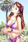  1girl bikini breasts brown_hair clitlogic earrings female green_eyes jewelry large_breasts long_hair looking_at_viewer mihoto_kouji outdoors ribbon solo swimsuit watch watch 