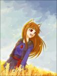  1girl animal_ears holo solo spice_and_wolf wolf_ears 