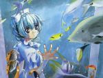  1girl aquarium blue_hair bow dress fish full_metal_panic! ponytail shikidouji silver_hair solo teletha_testarossa traditional_media wallpaper water watercolor_(medium) white_dress 