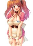  asahina_mikuru blush breasts cleavage corset huge_breasts kasanui suzumiya_haruhi_no_yuuutsu waitress 