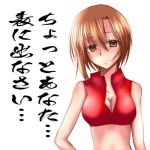  1girl breasts brown_eyes brown_hair lowres meiko misana short_hair solo translation_request vocaloid 