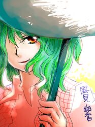  1girl character_name female green_hair hair_over_one_eye kazami_yuuka plaid plaid_vest red_eyes short_hair smirk solo touhou umbrella upper_body youkai 