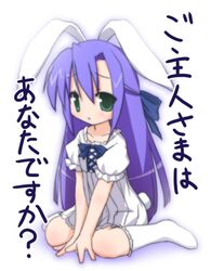  animal_ears ginga_nakajima lyrical_nanoha mahou_shoujo_lyrical_nanoha mahou_shoujo_lyrical_nanoha_strikers rabbit_ears translated 