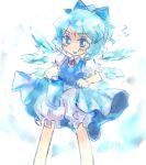  1girl bloomers bow cirno female kinkirara queen_qko solo the_embodiment_of_scarlet_devil touhou underwear 
